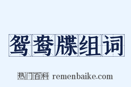 鸳鸯牒组词是什么意思的图片
